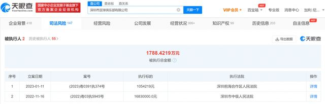 年轻的小姨子2