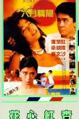 国产91页