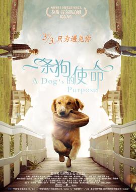 邻居姐姐的谈话