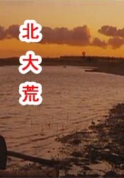 日韩成人专区