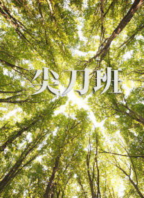 激情四射